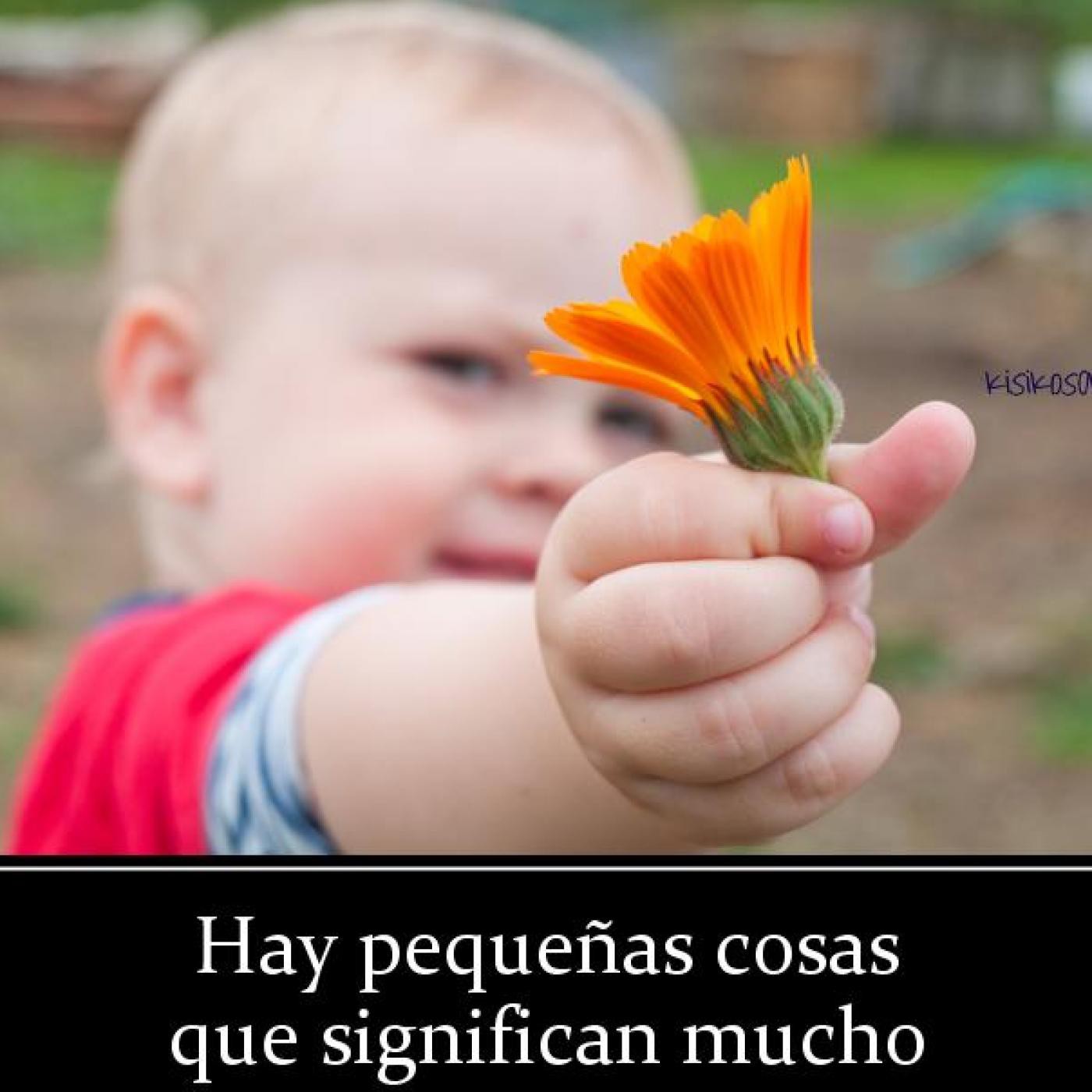 En resumidos cuentos