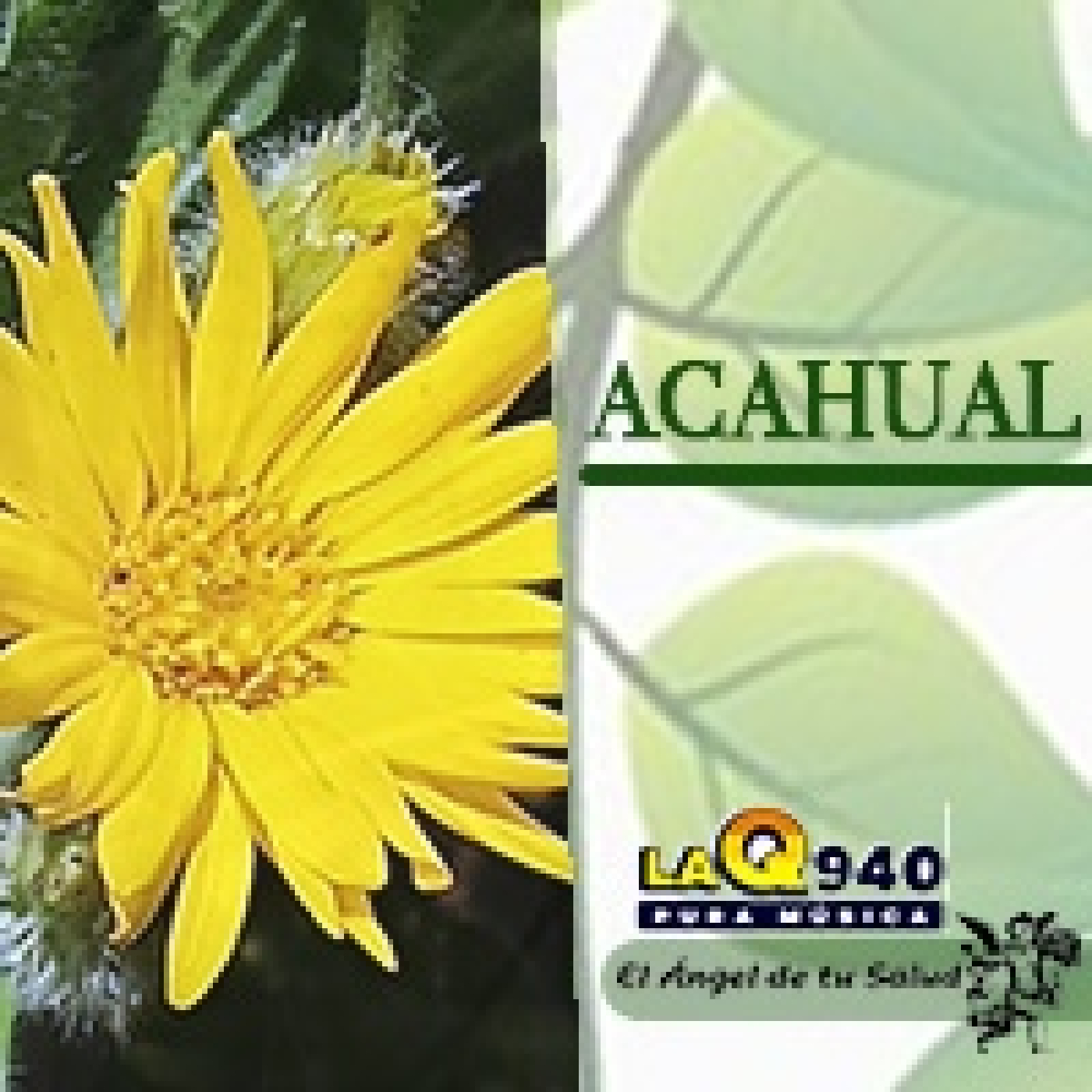 El Ángel de tu Salud - Acahual** episode artwork