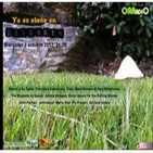 DESORDEN de Otoño 3 de octubre de 2012