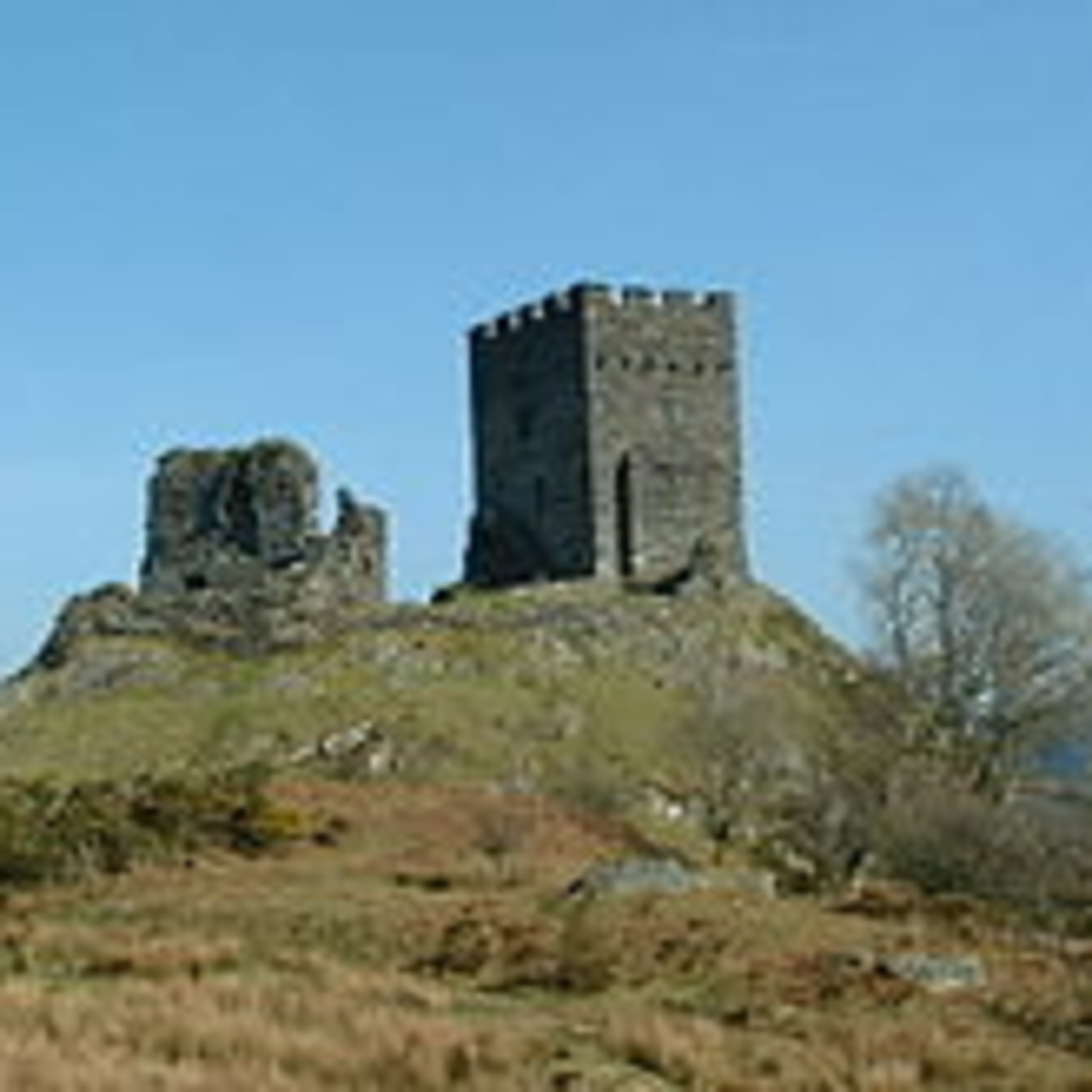 TRIBUTO A PETER CARTER