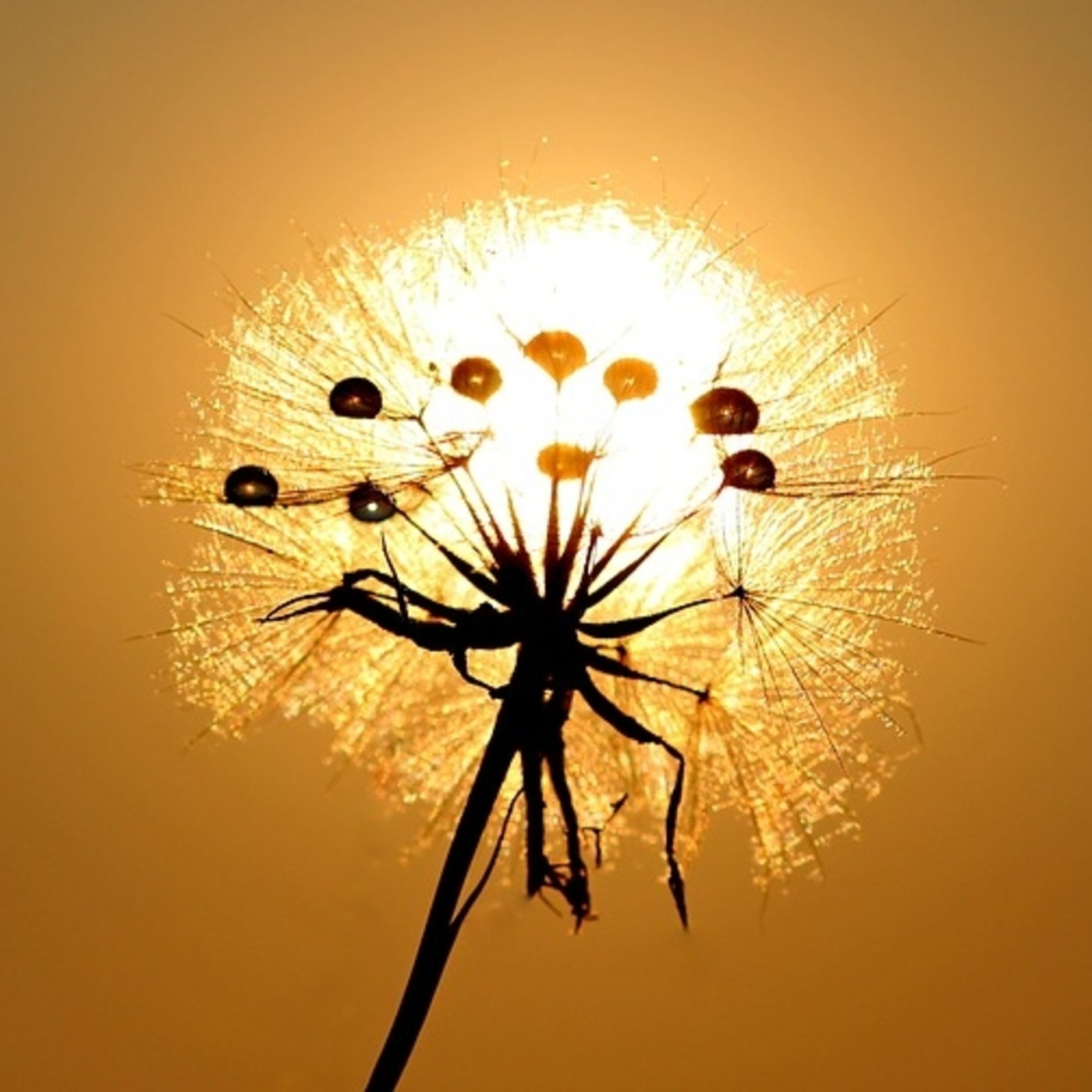 Brahma Kumaris Valencia