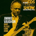 Capítulo 447 El fabuloso Jimmie Vaughan