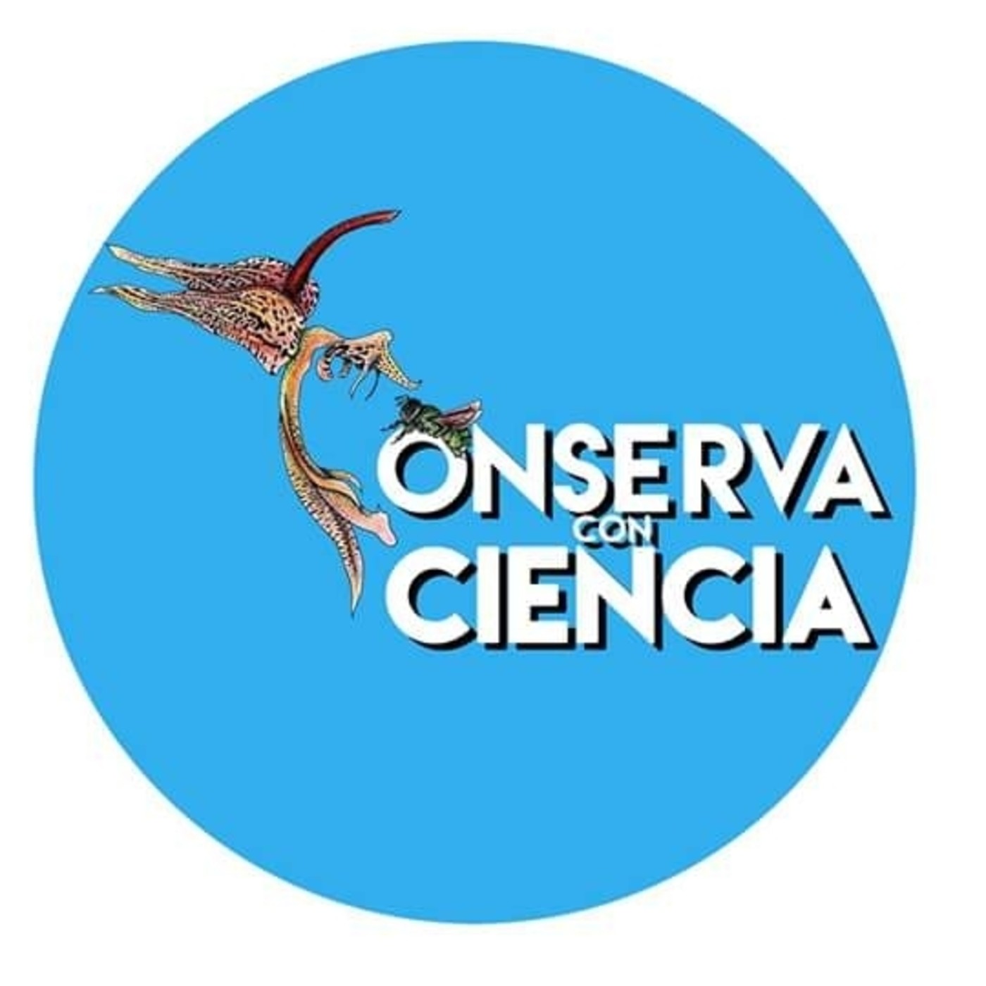 La experiencia de la fundación semillas de oro