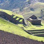 embed image