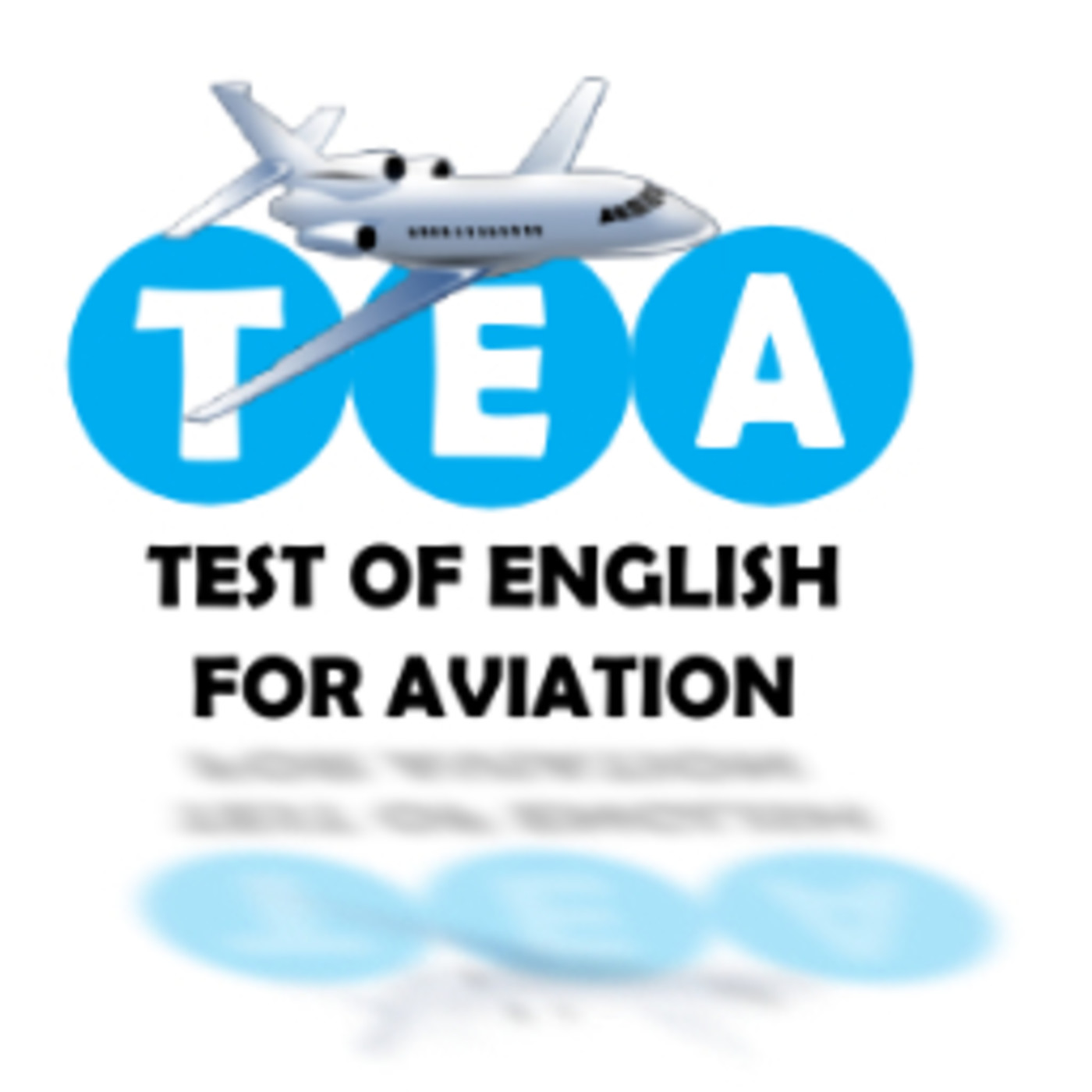 TEA 10 de 16