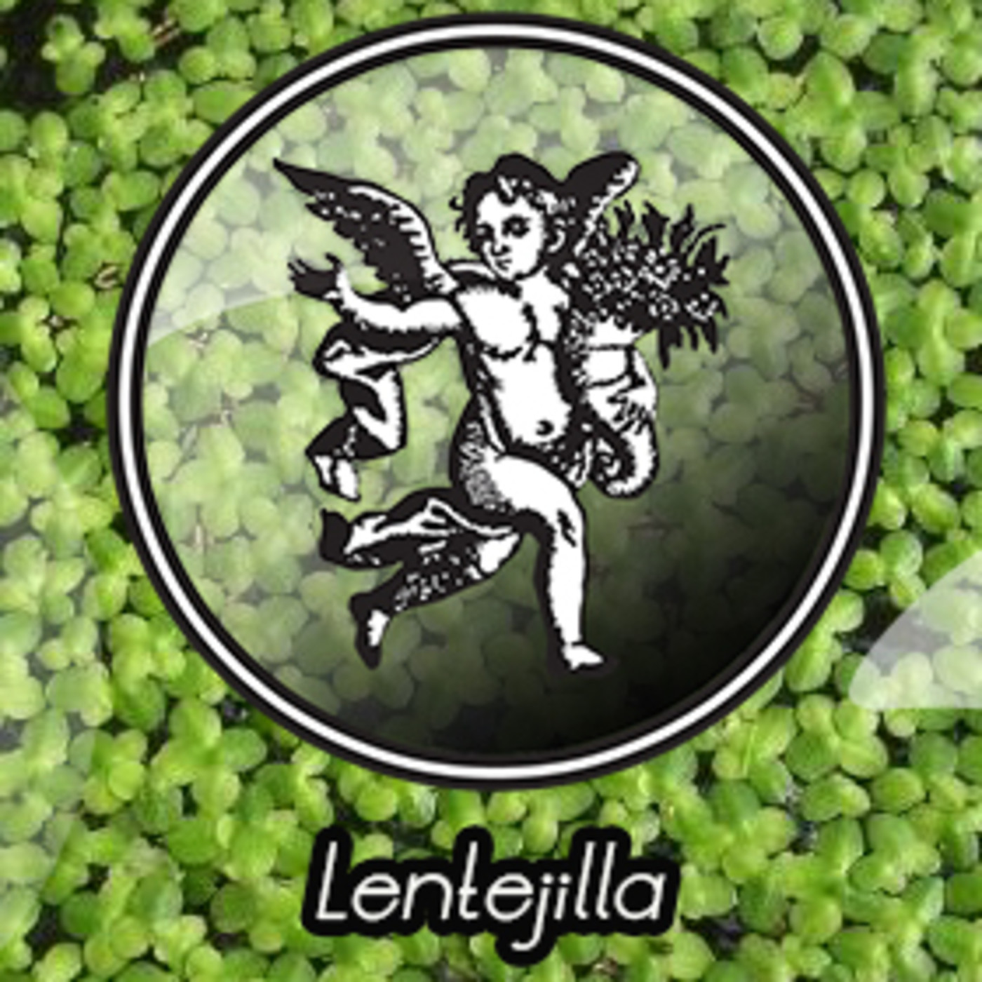 El Angel de tu Salud - LENTEJILLA II