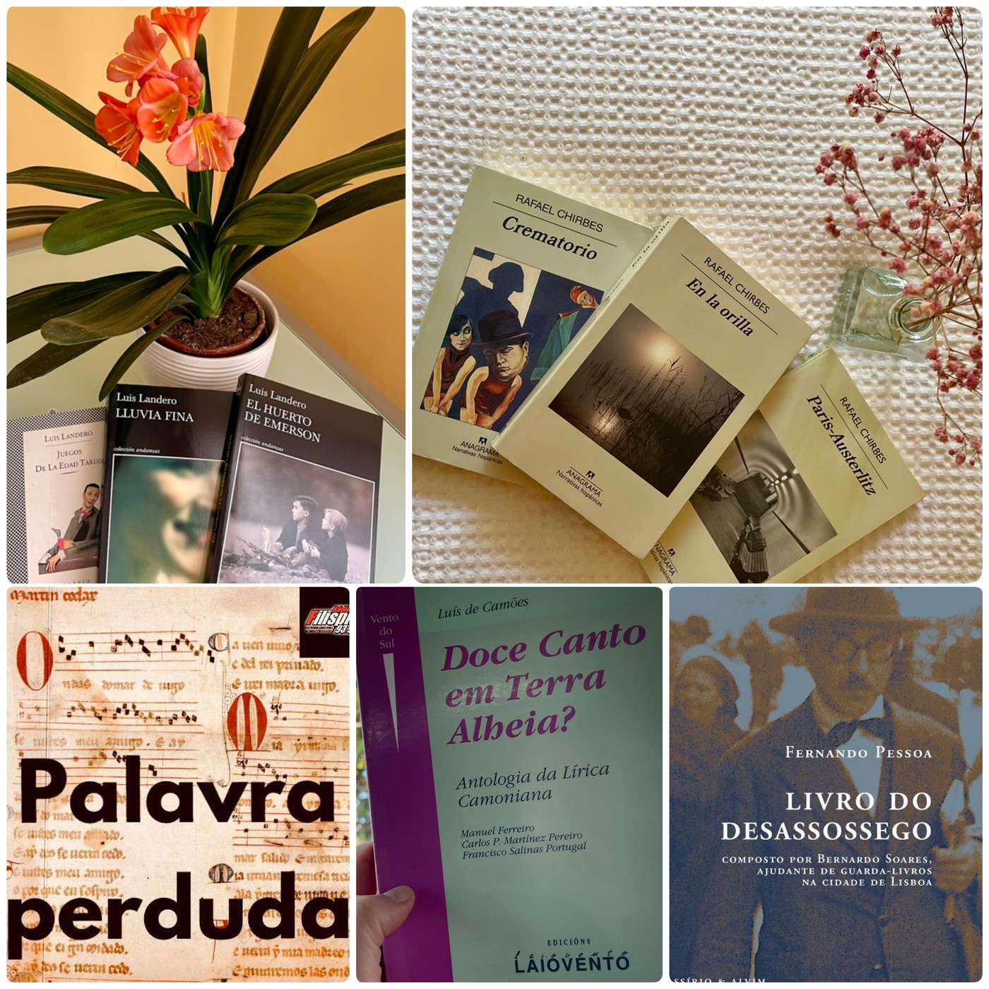 'Palavra perduda': Cânone e gosto.