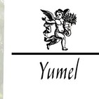 El Ángel de tu Salud - YUMEL II