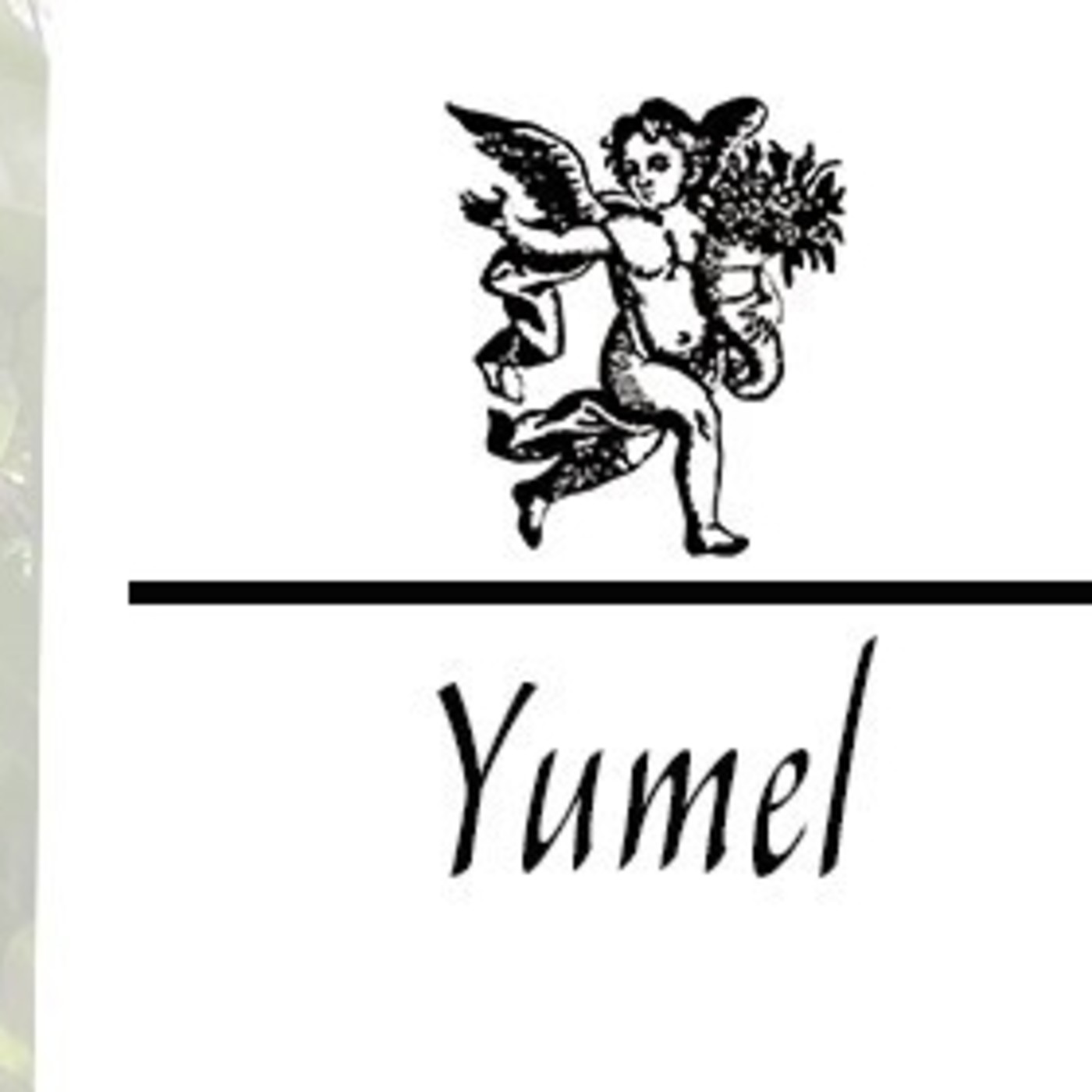 El Ángel de tu Salud - YUMEL II