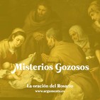embed image