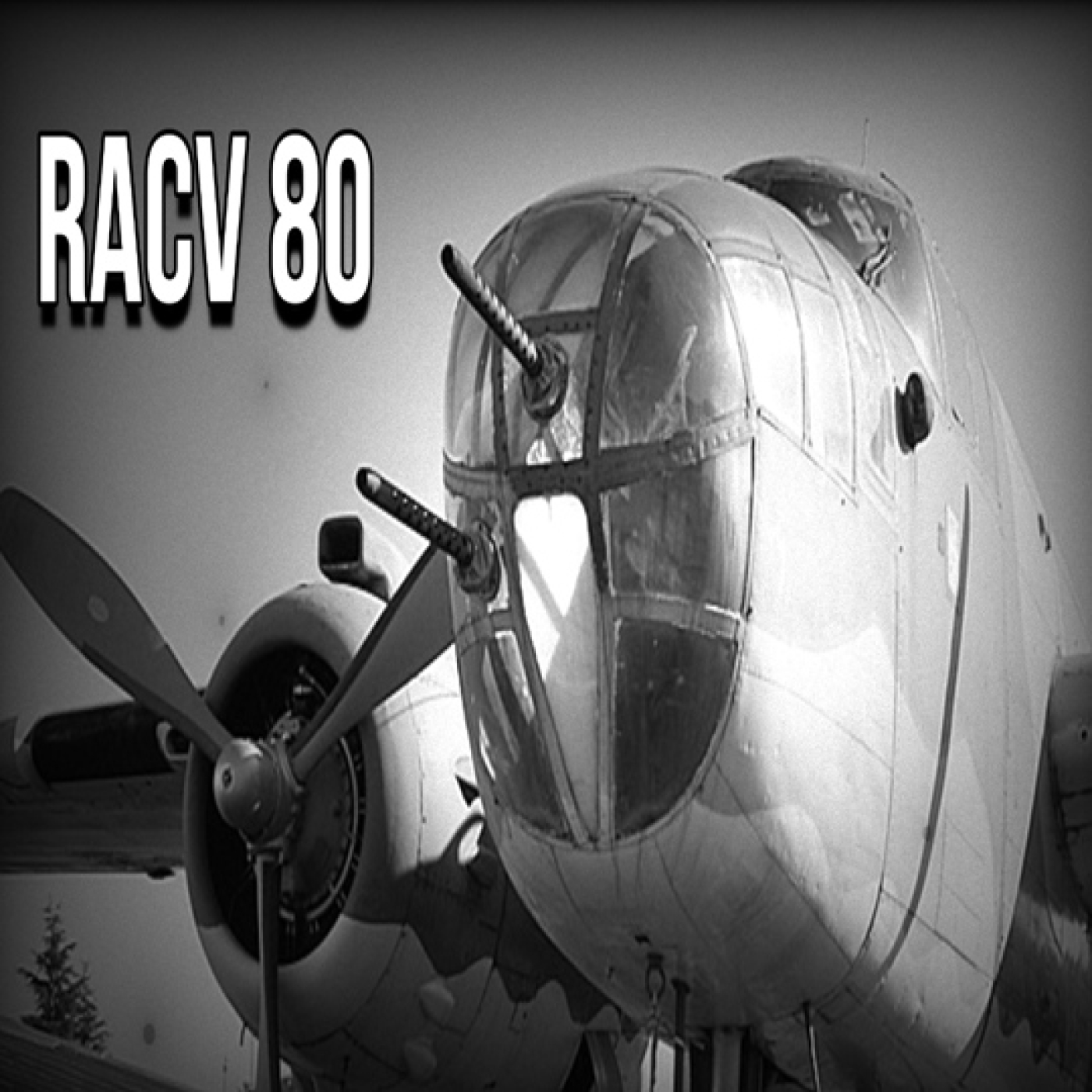 Aviación RACV