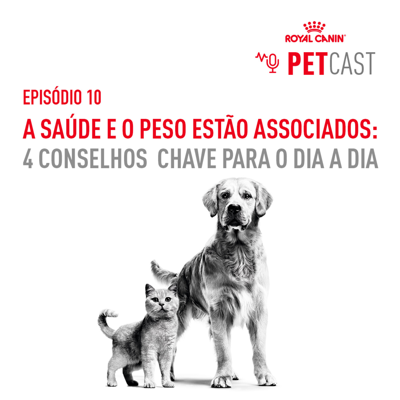ROYAL CANIN PETCASTS PORTUGAL