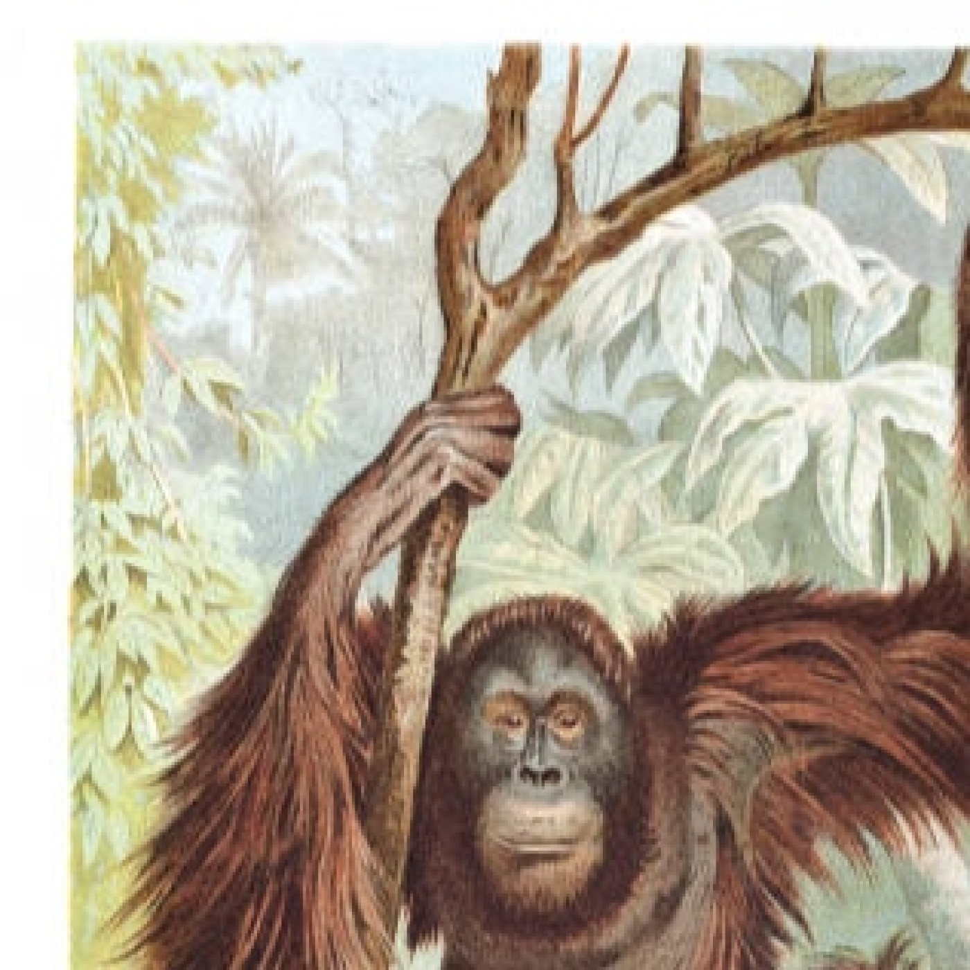 El reto de la verdad