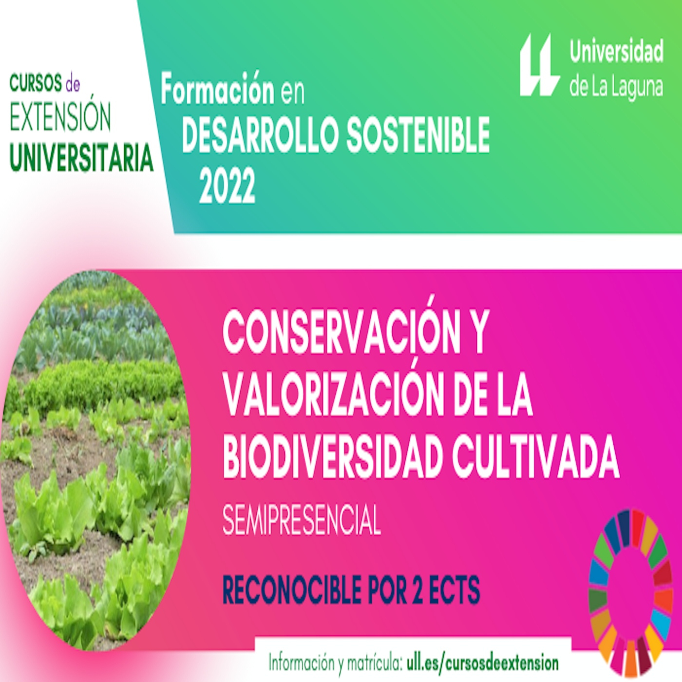 Cursos interdisciplinares de la ULL