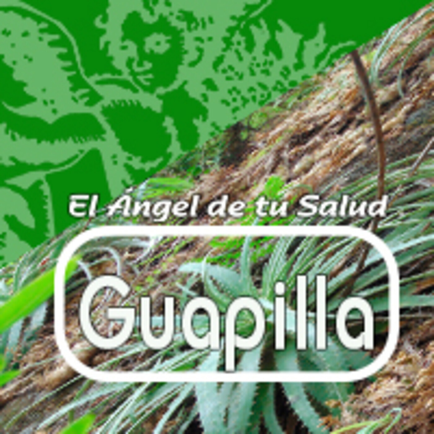 El Angel de tu Salud - GUAPILLA**