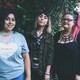 Gata Fiera #8: Activismo Plus Size