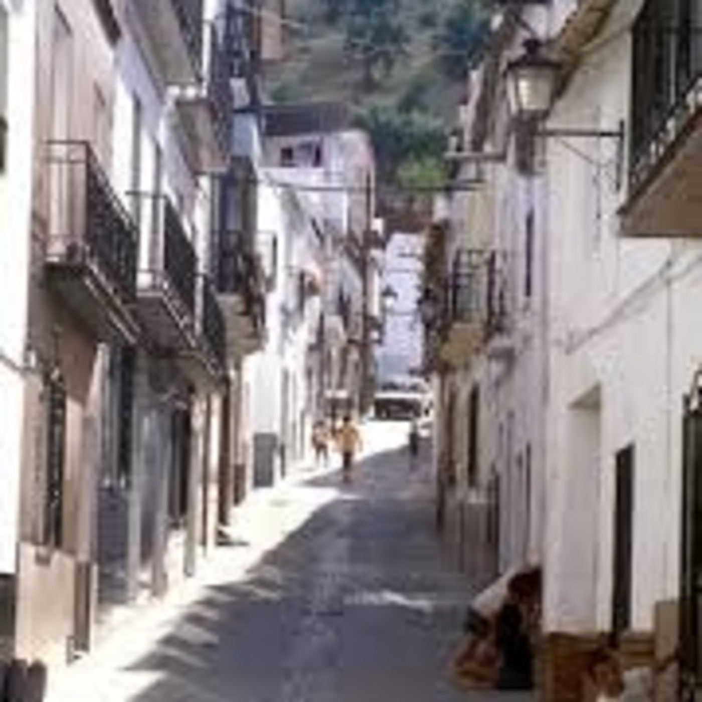 EL ALCAVOZ