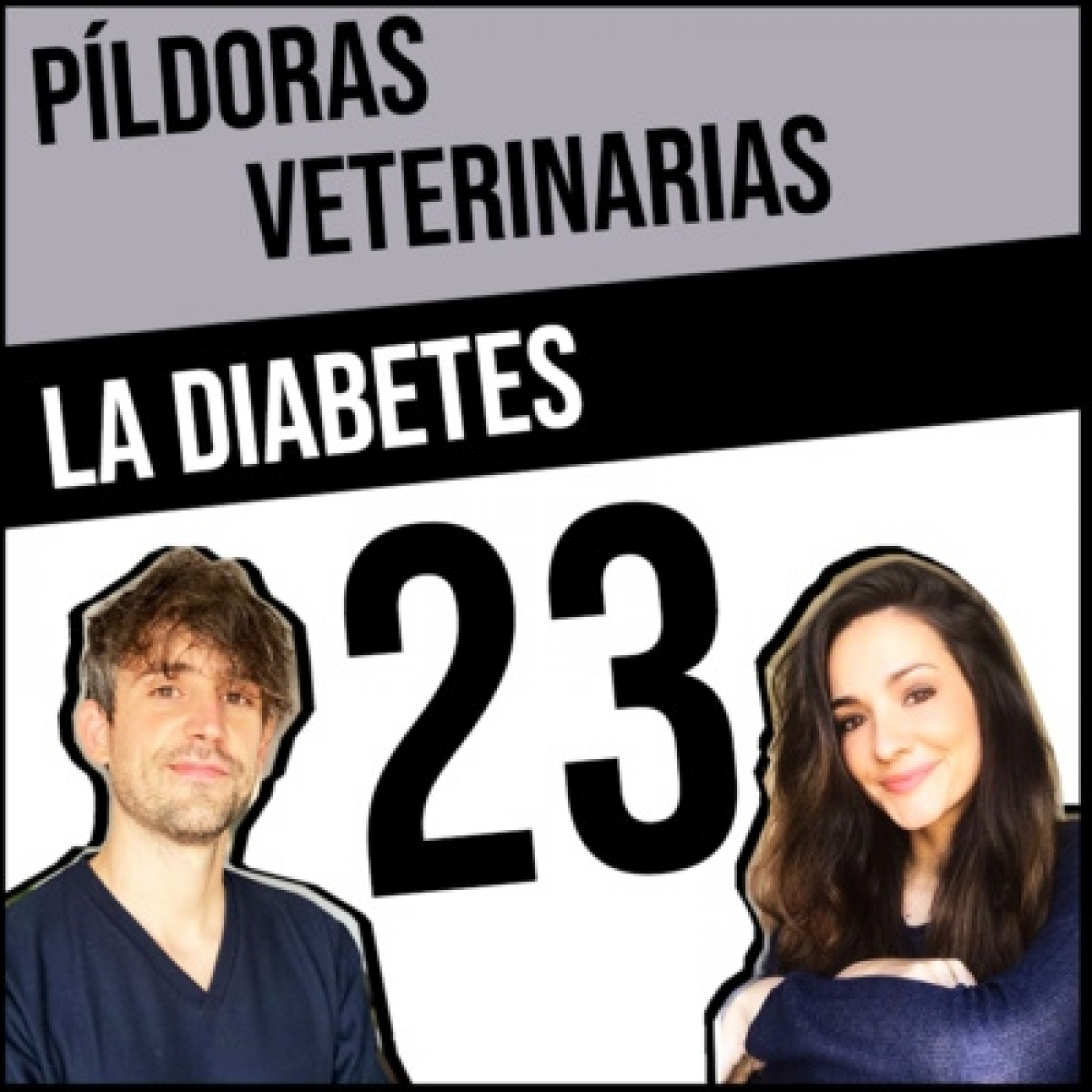 Píldoras Veterinarias