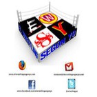 El Podcast de El Wrestling Según Yo - 1x13 - Royal Rumble 2013