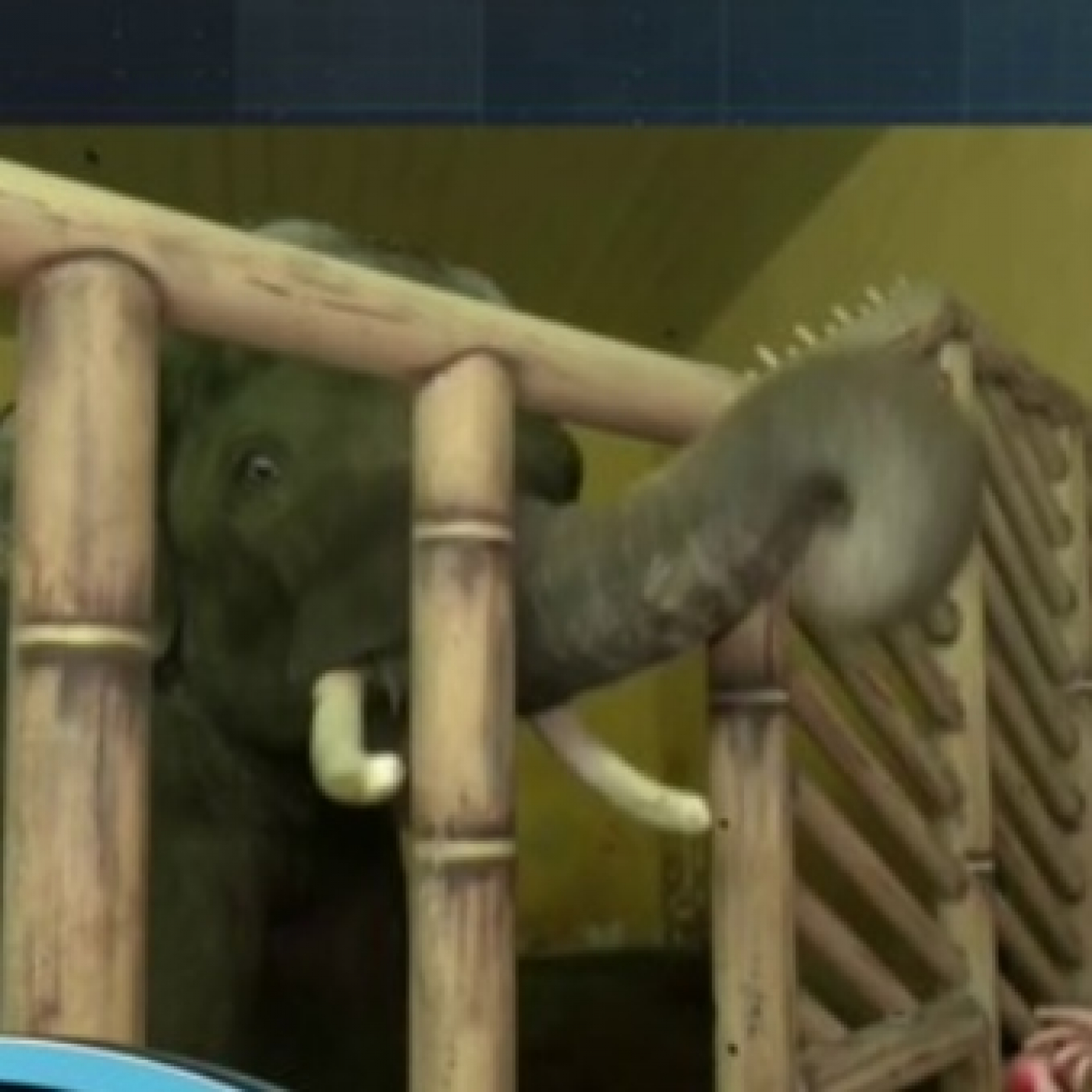 Horizonte: Los otros protagonistas de la guerra