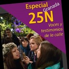 10 - Especial 25N (2): Manifestación 25N, Granada