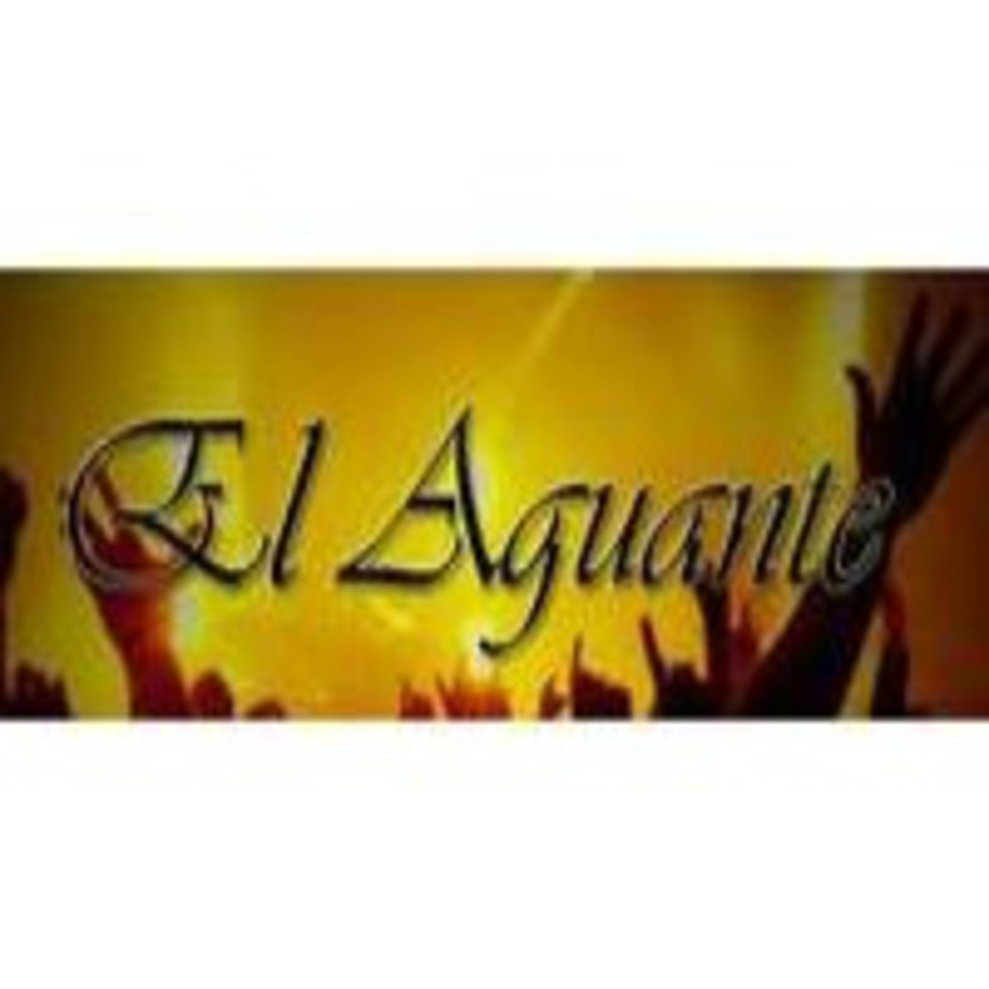 Podcast de RadioeLaguante ON Line