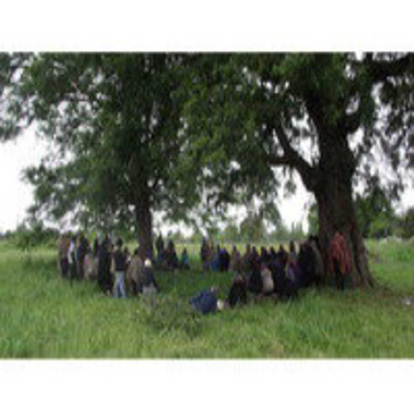 Podcast Voces de la Disidencia