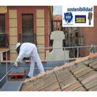 Abejas en la ciudad: apicultura urbana