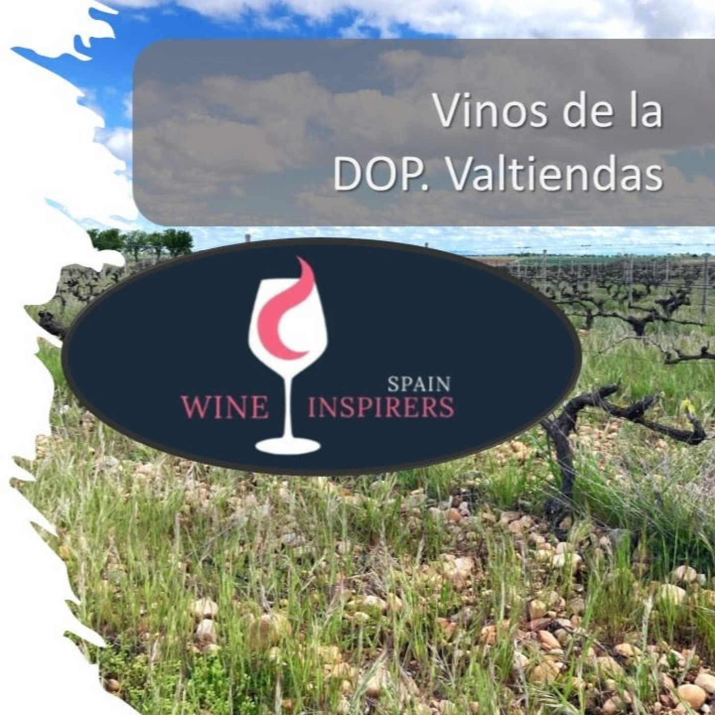 Vino entre amigos