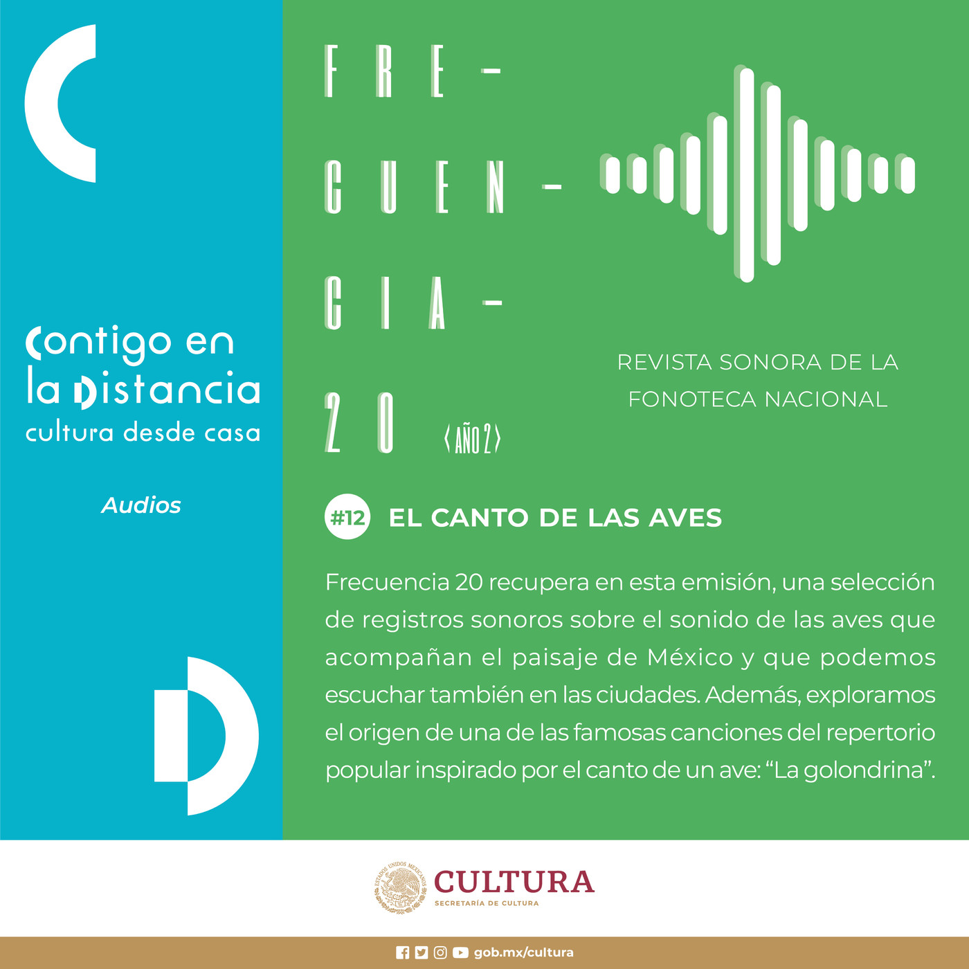 Frecuencia 20