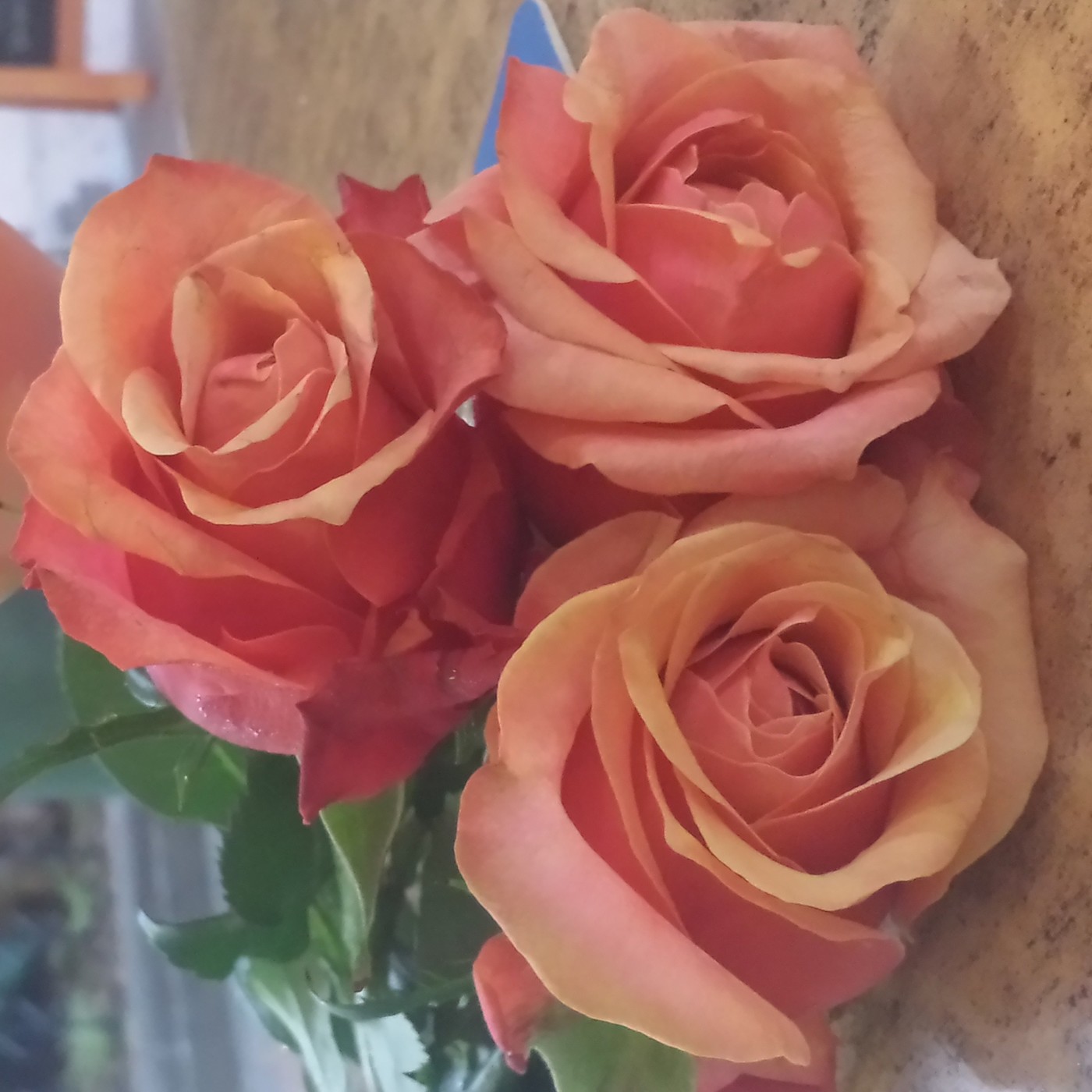 Nuestra Mente es Maravillosa