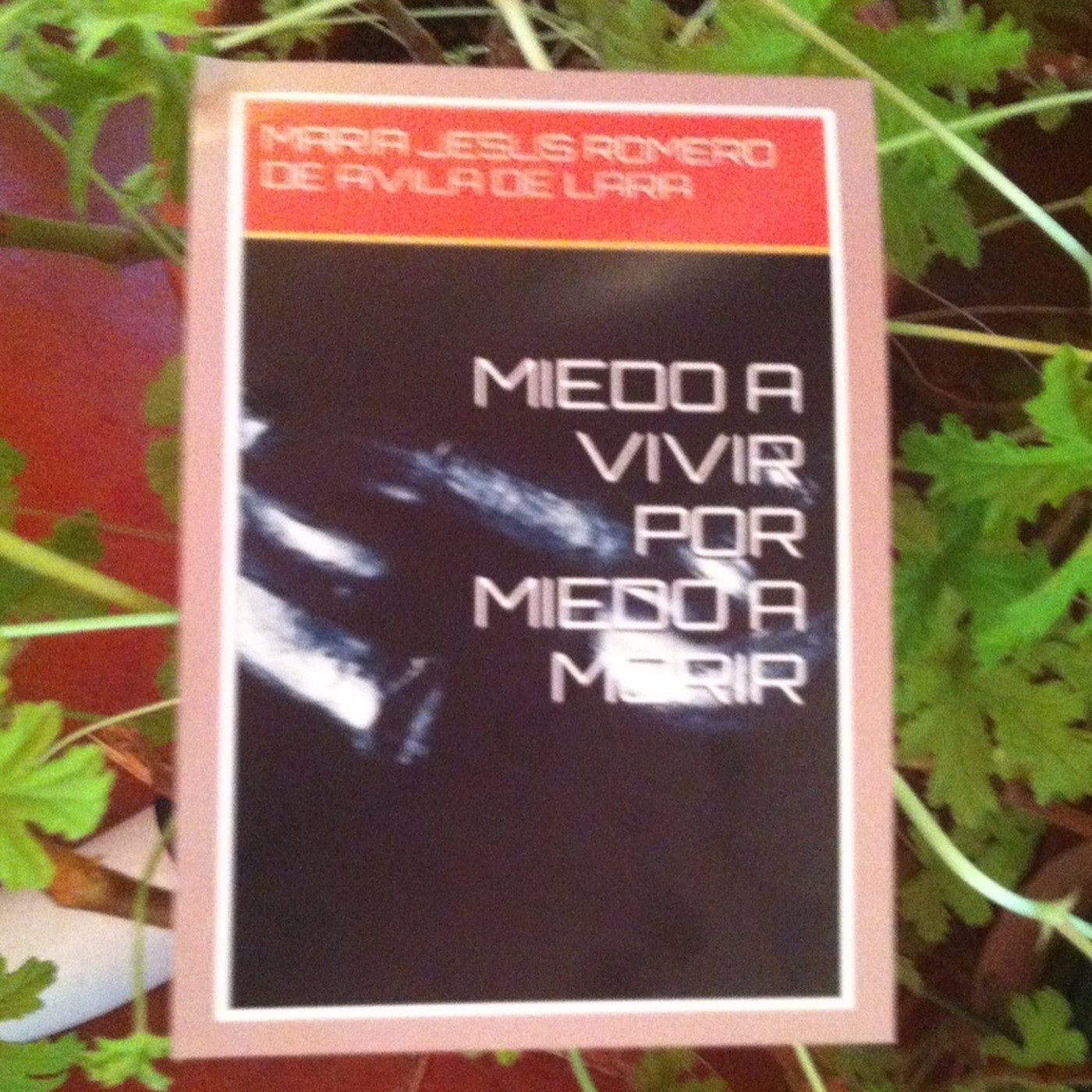 NOVEL MIEDO A VIVIR POR MIEDO A MORIR CAPITULO NOVENO episode artwork