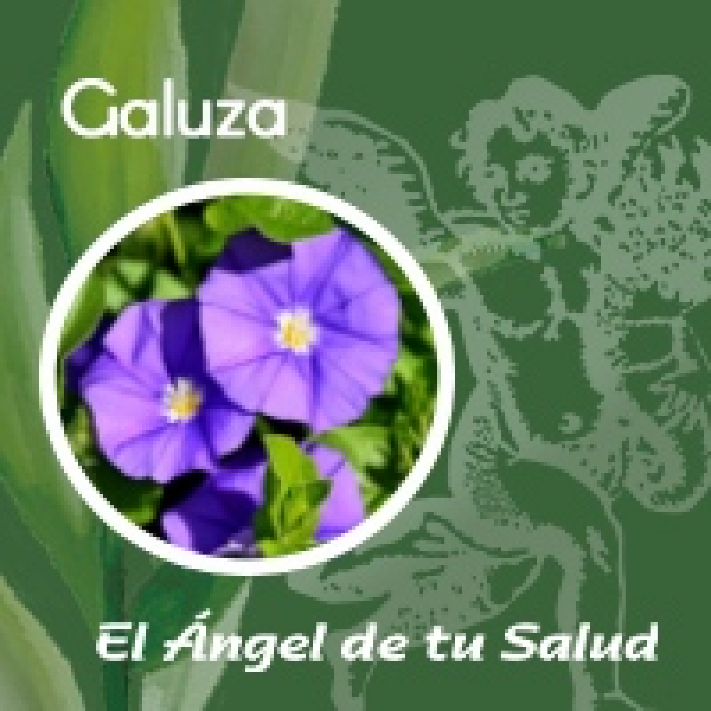 El Ángel de tu Salud - Galuza** episode artwork