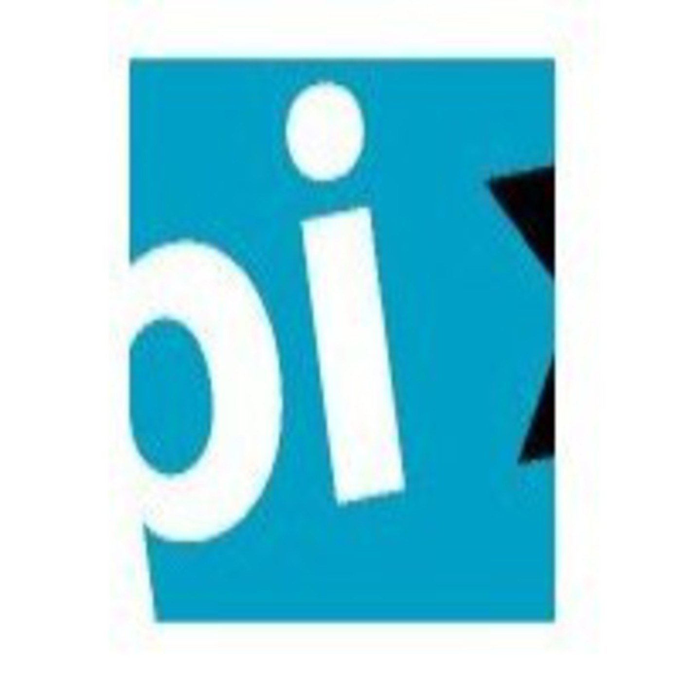 Programas Pi x Radio - 2013