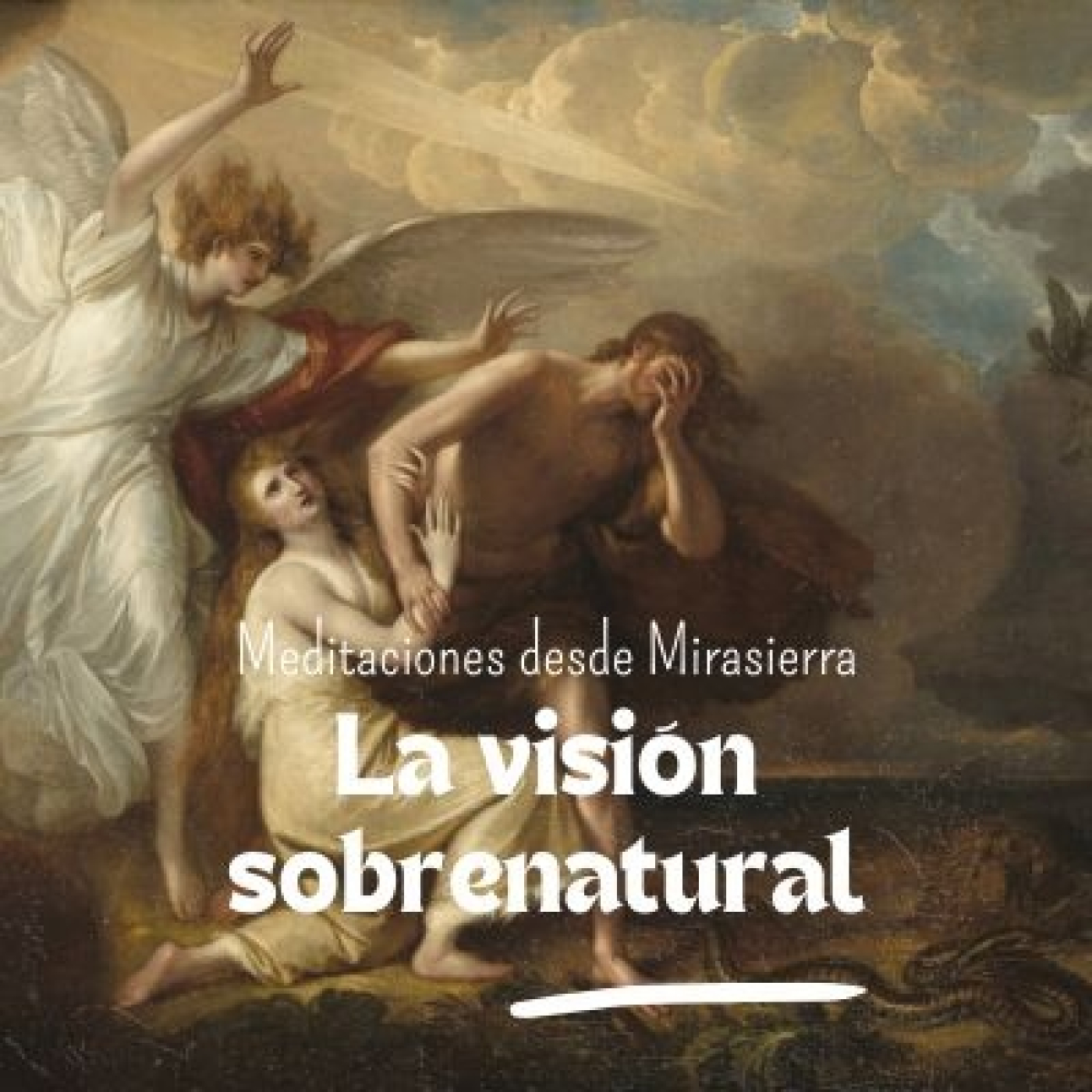 Meditaciones desde Mirasierra