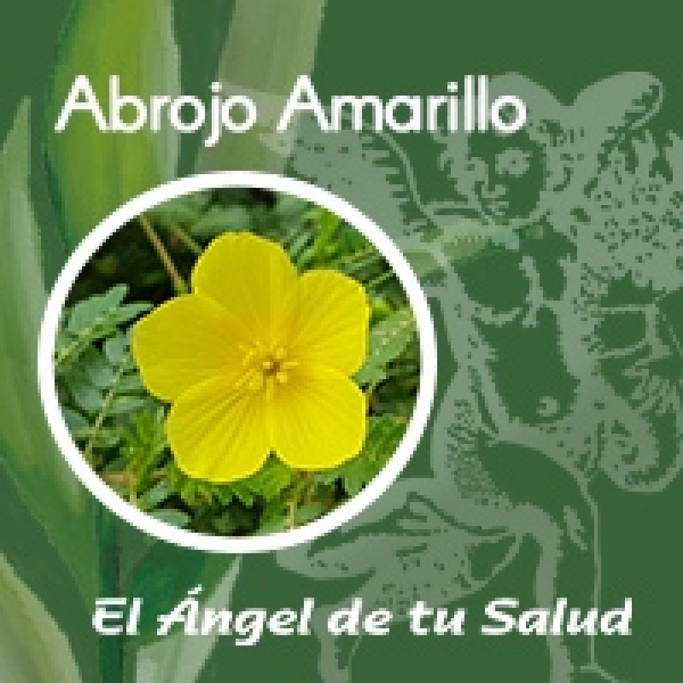 El Ángel de tu Salud - Abrojo Amarillo ** episode artwork