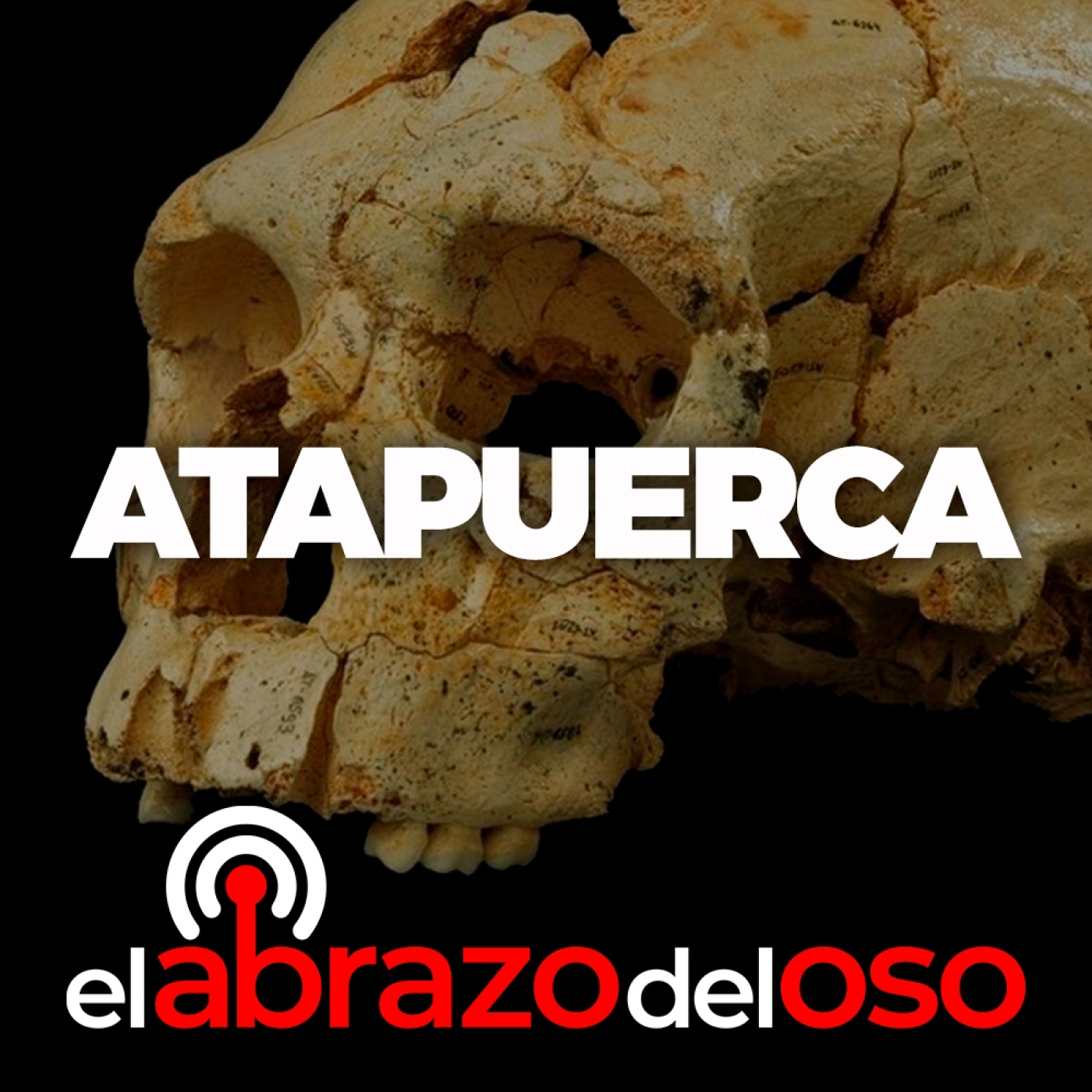 Atapuerca - El Abrazo del Oso