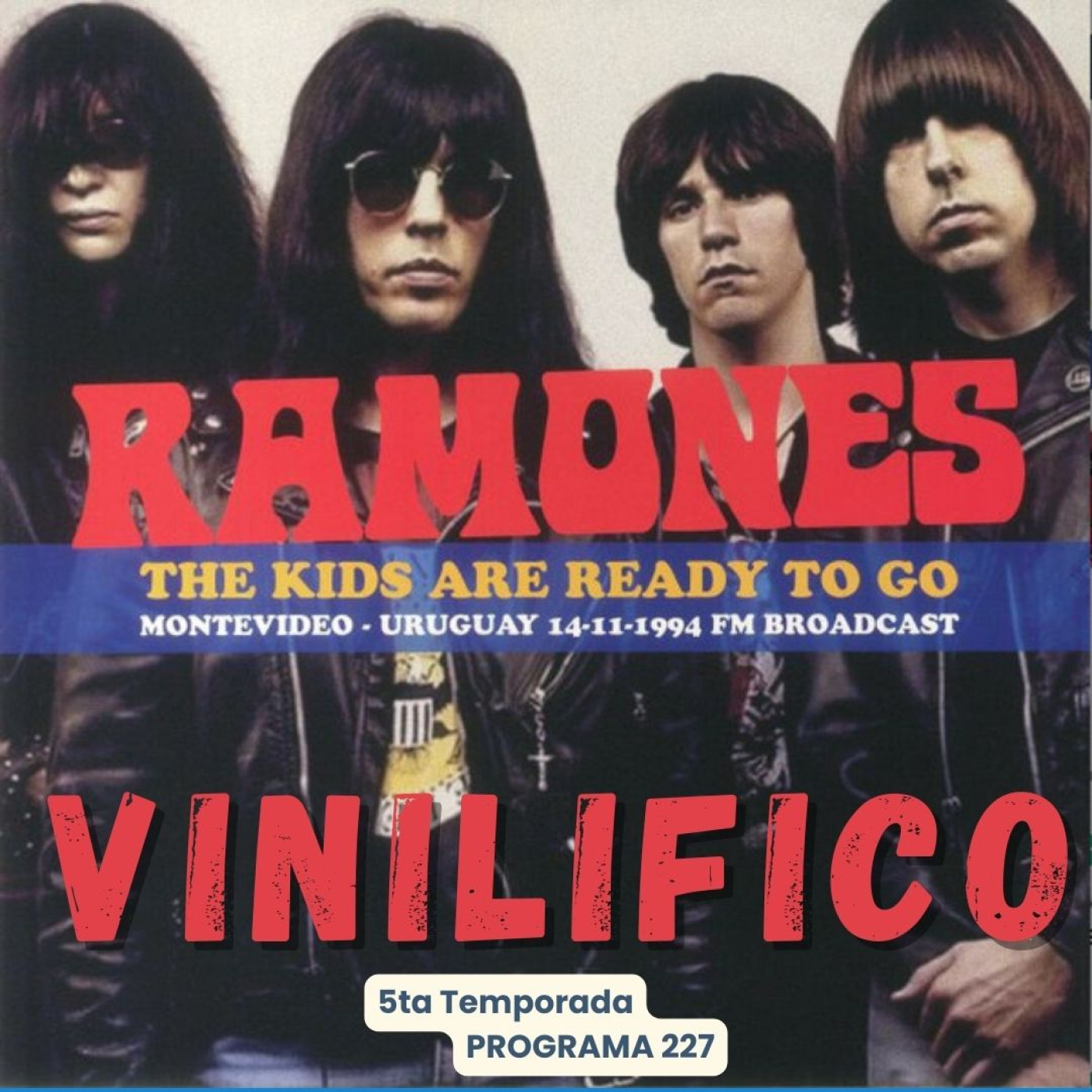 Vinilifico