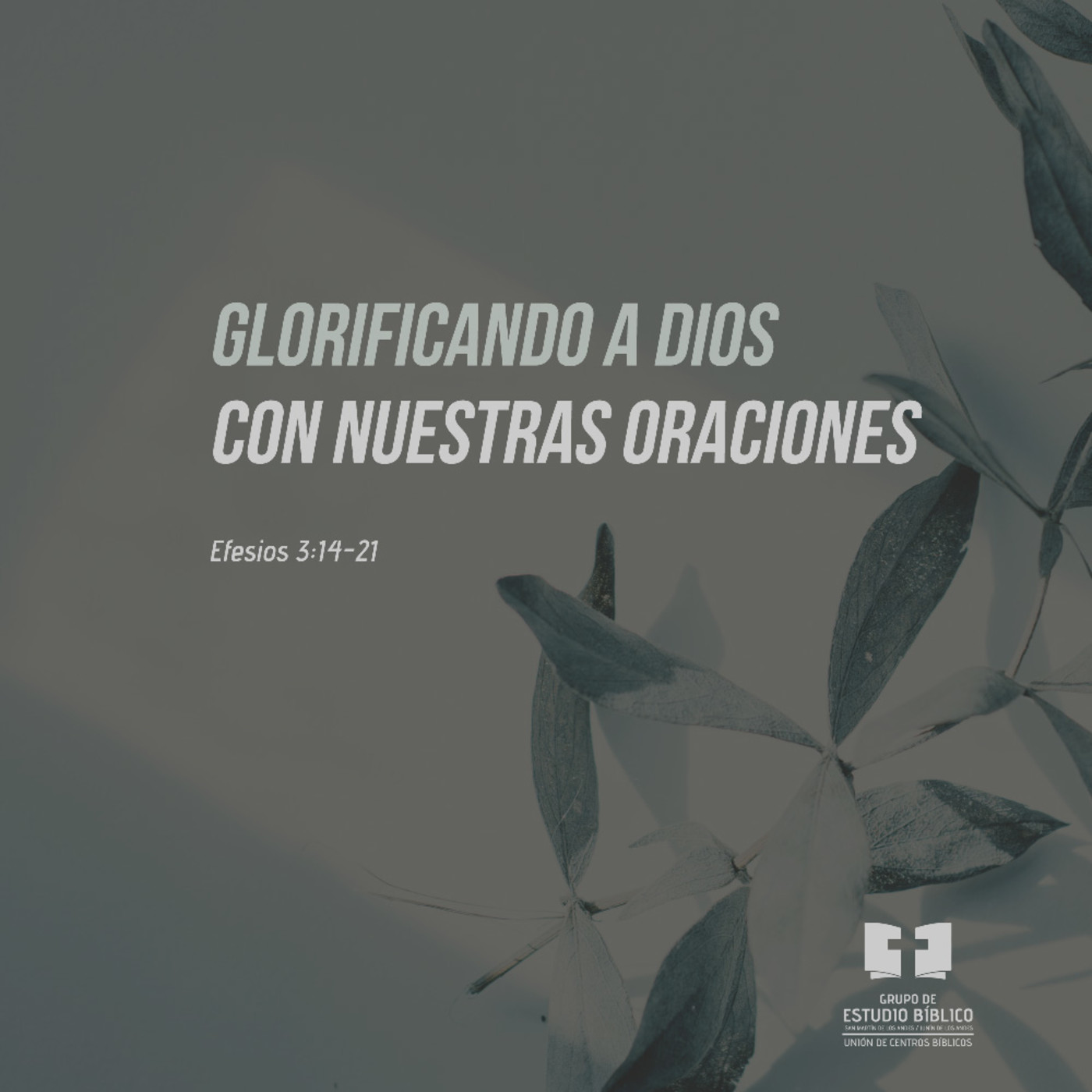 Efesios