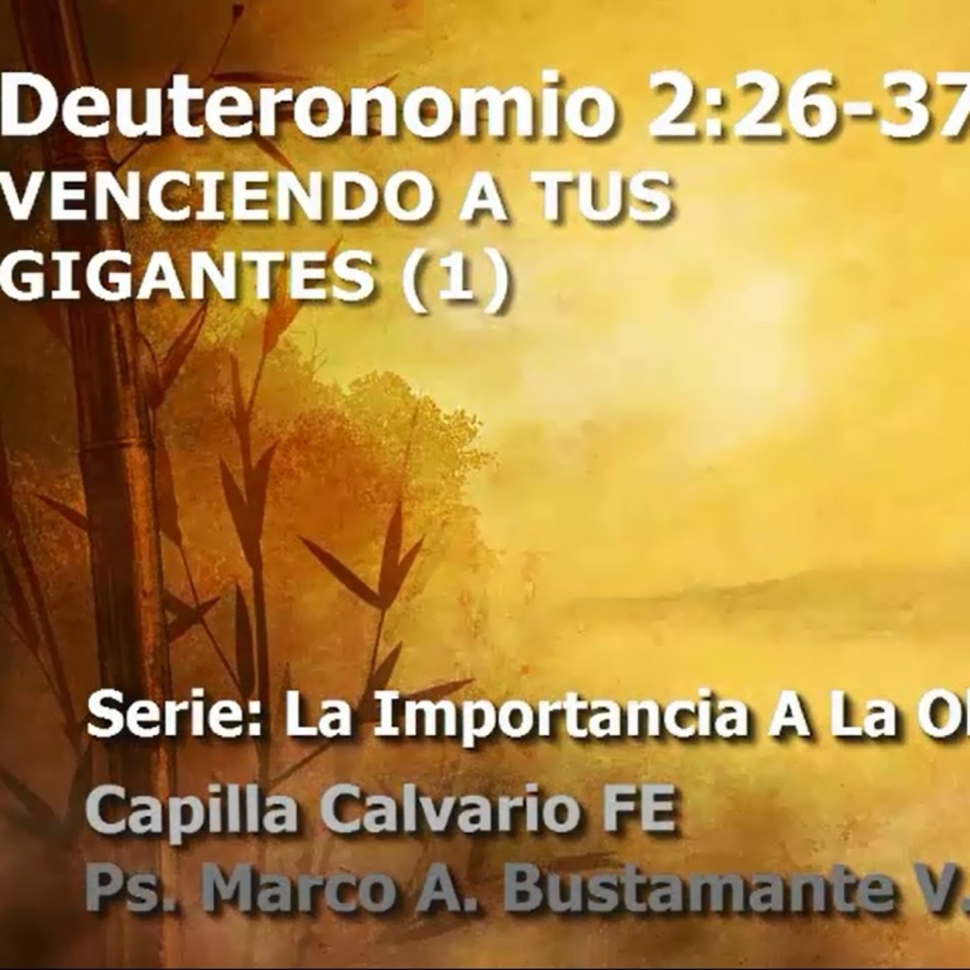 Deuteronomio 2.26-37 - VENCIENDO A TUS GIGANTES (1)
