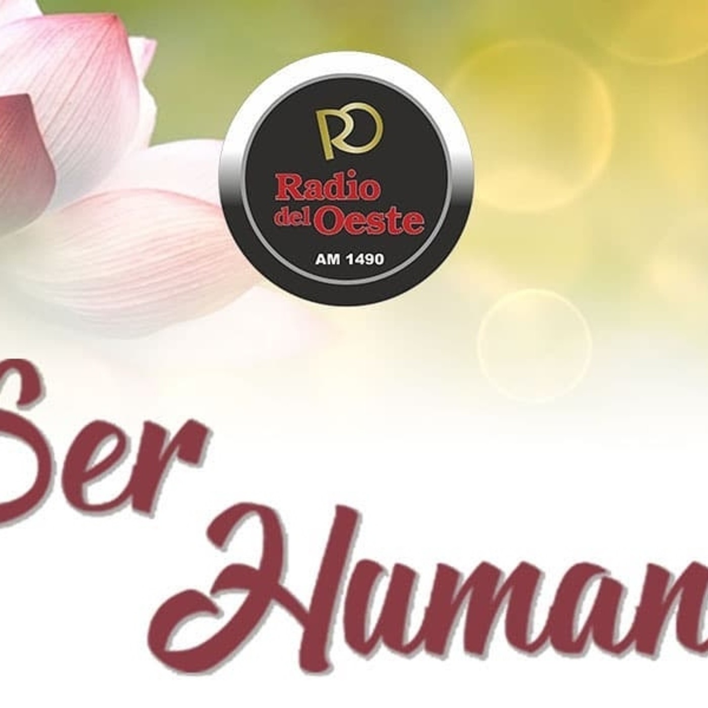 escueladereikiamanecer