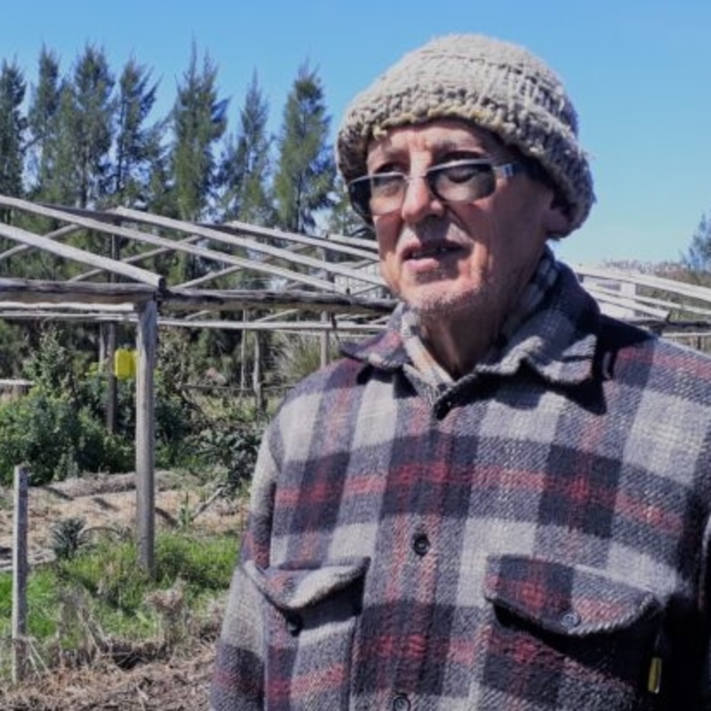 LA MÁQUINA DE TEJER
