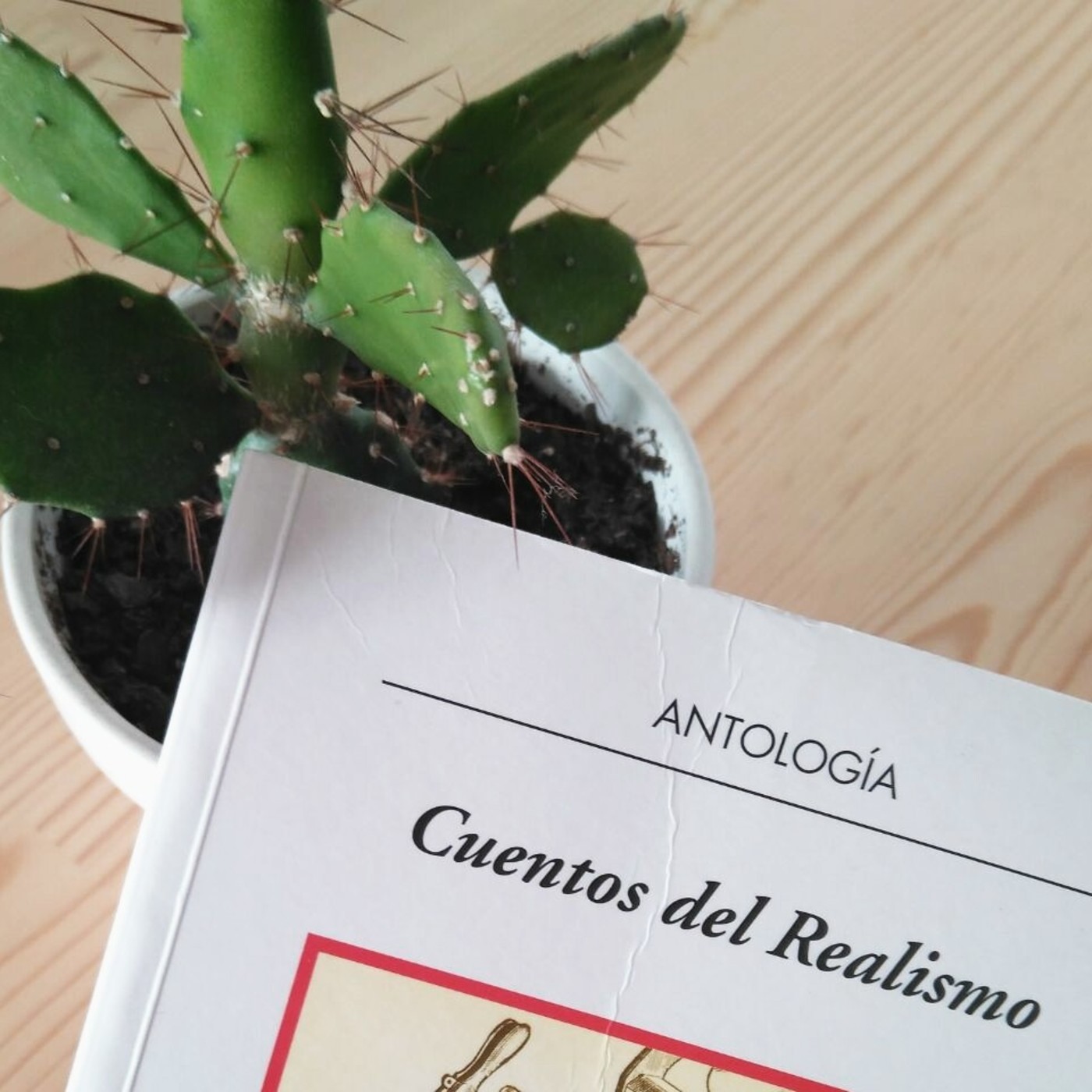 Cuentos del Realismo