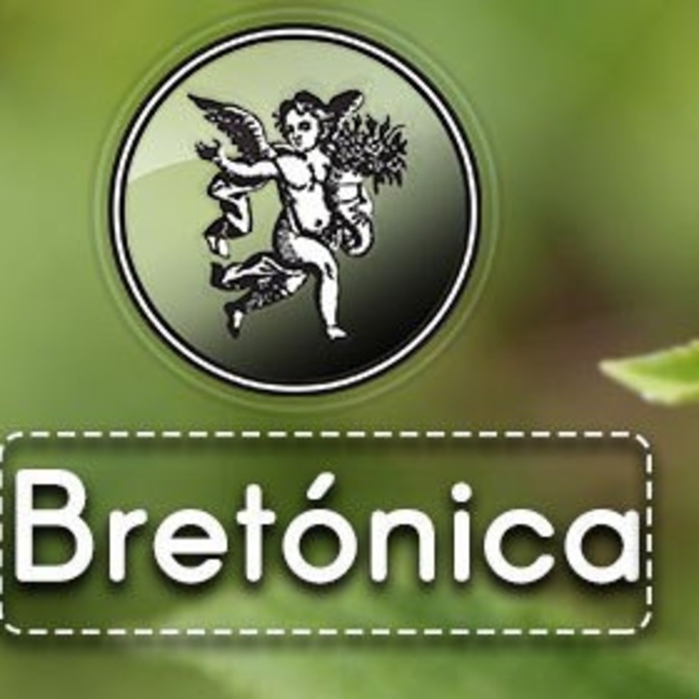 El Ángel de tu Salud - BRETÓNICA II episode artwork