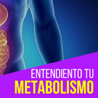 Cómo funciona el metabolismo? | Acelerar tu metabolismo