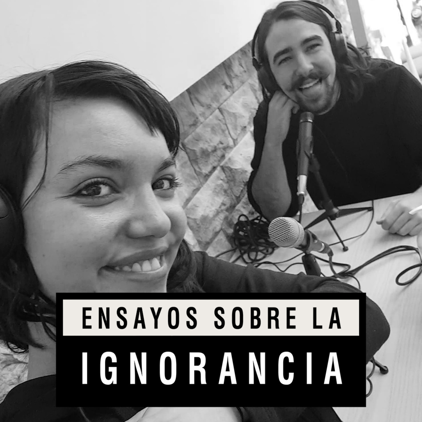 Ensayos sobre la ignorancia