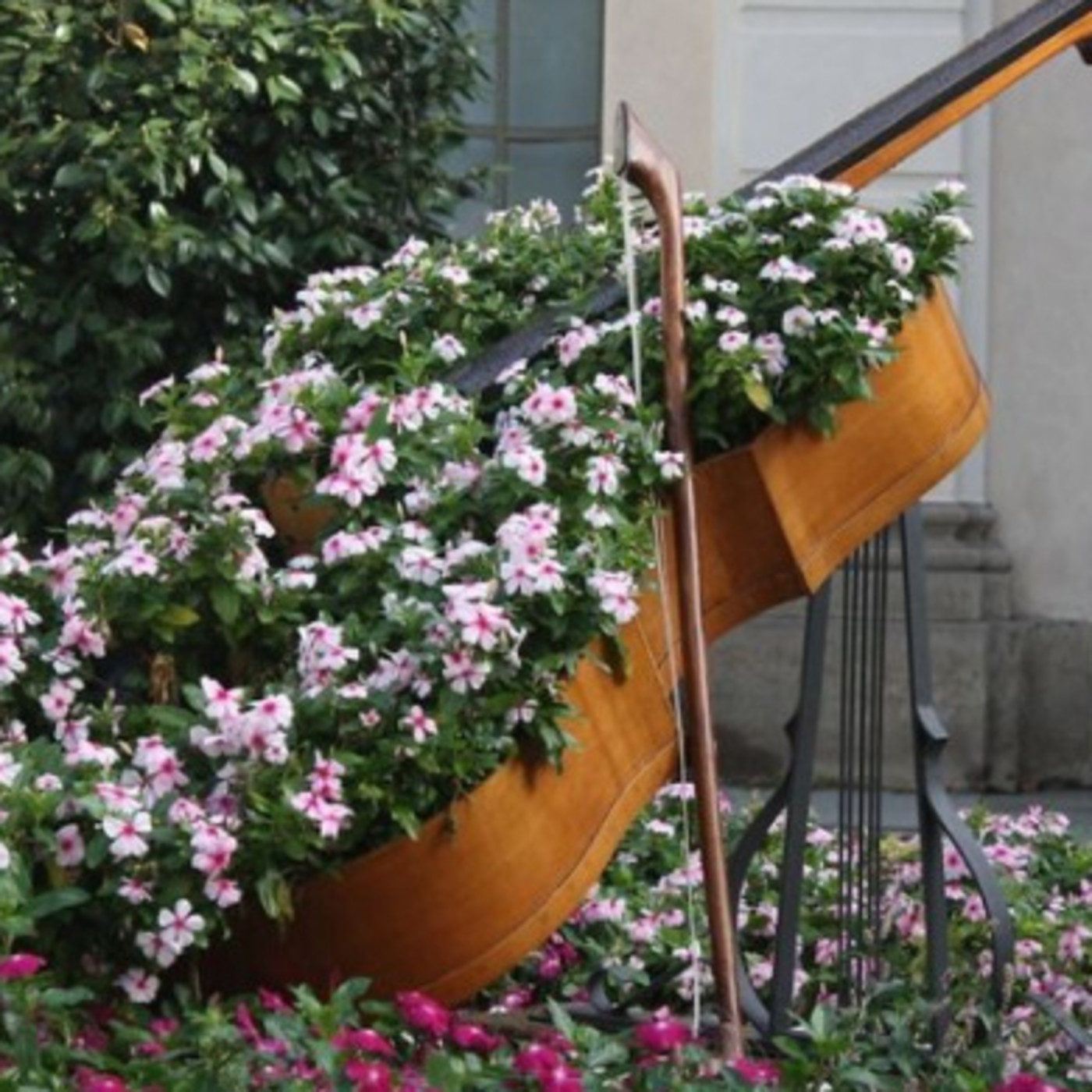 Podcast de Opus Organicum