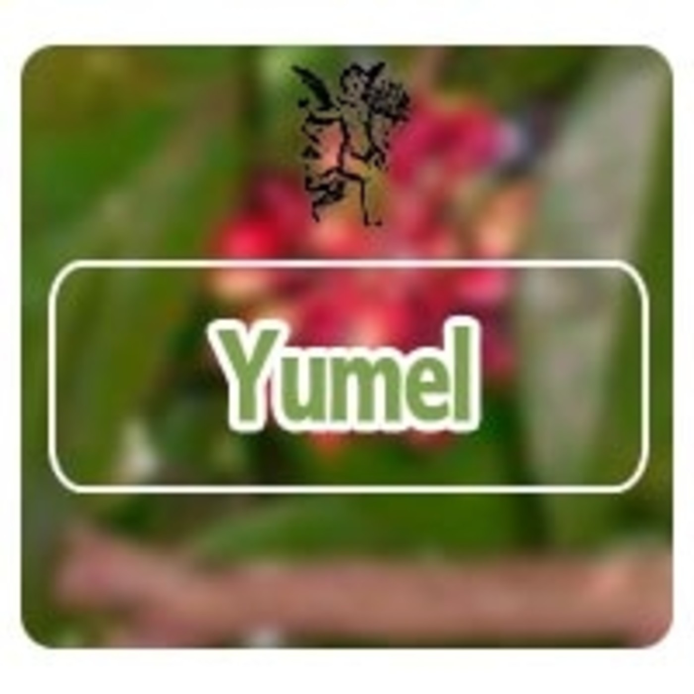 El Angel de tu Salud - YUMEL*** episode artwork