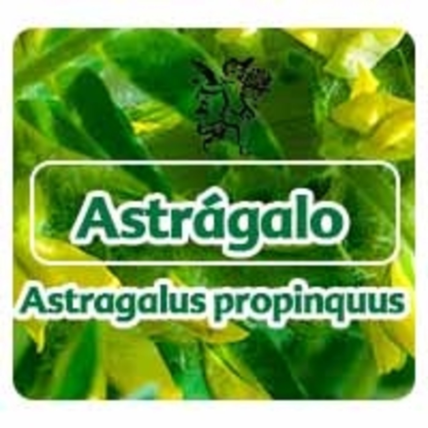El Angel de tu Salud - ASTRÁGALO ***** episode artwork