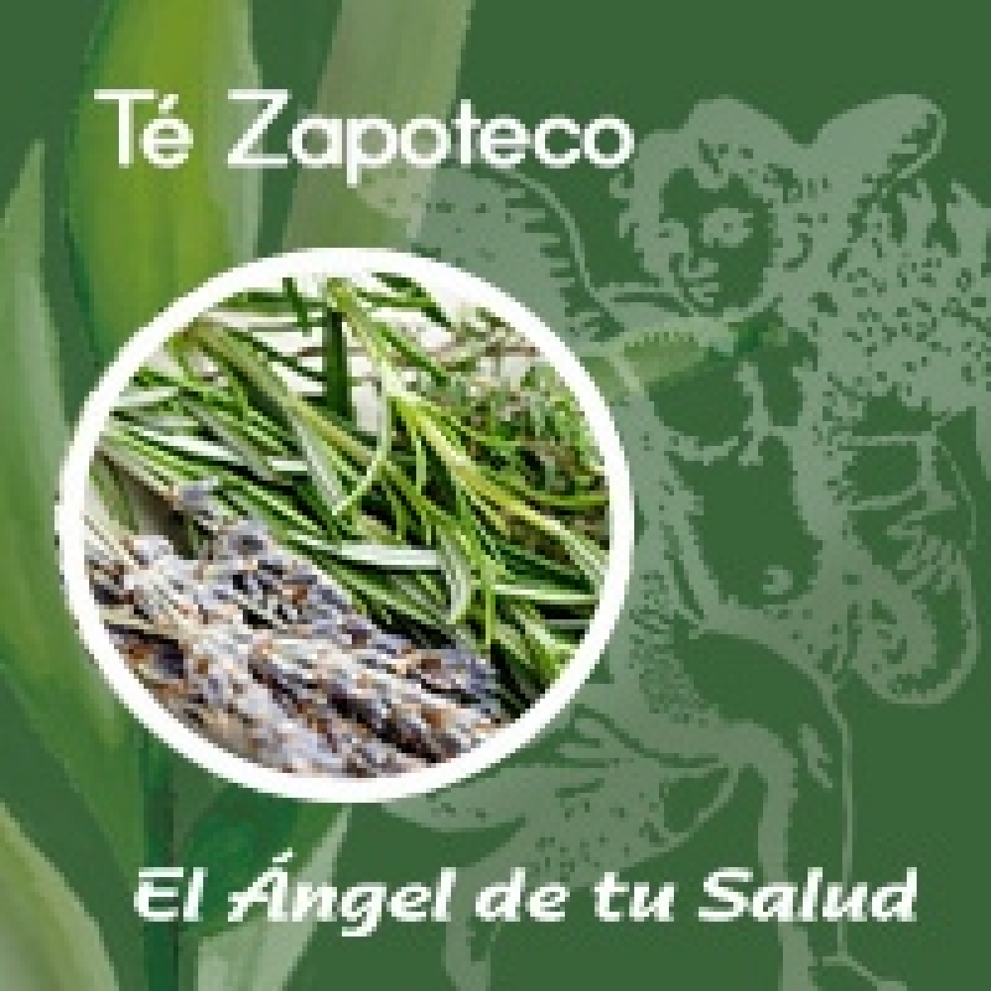 El Ángel de tu Salud - Té Zapoteco ** episode artwork